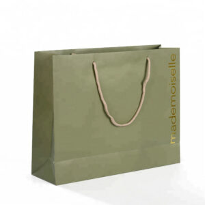 Paper Shopping Bag  RPBG109