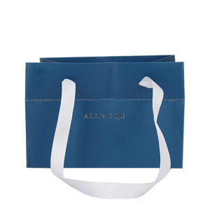 Paper Shopping Bag  RPBG112