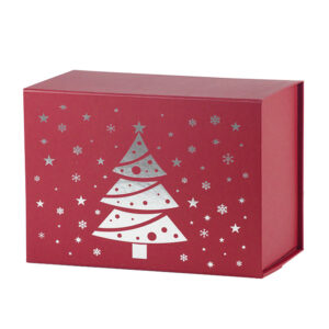 Book Shape Boxes RPBX208
